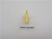 藏品(尺蠖蛾科)的圖片